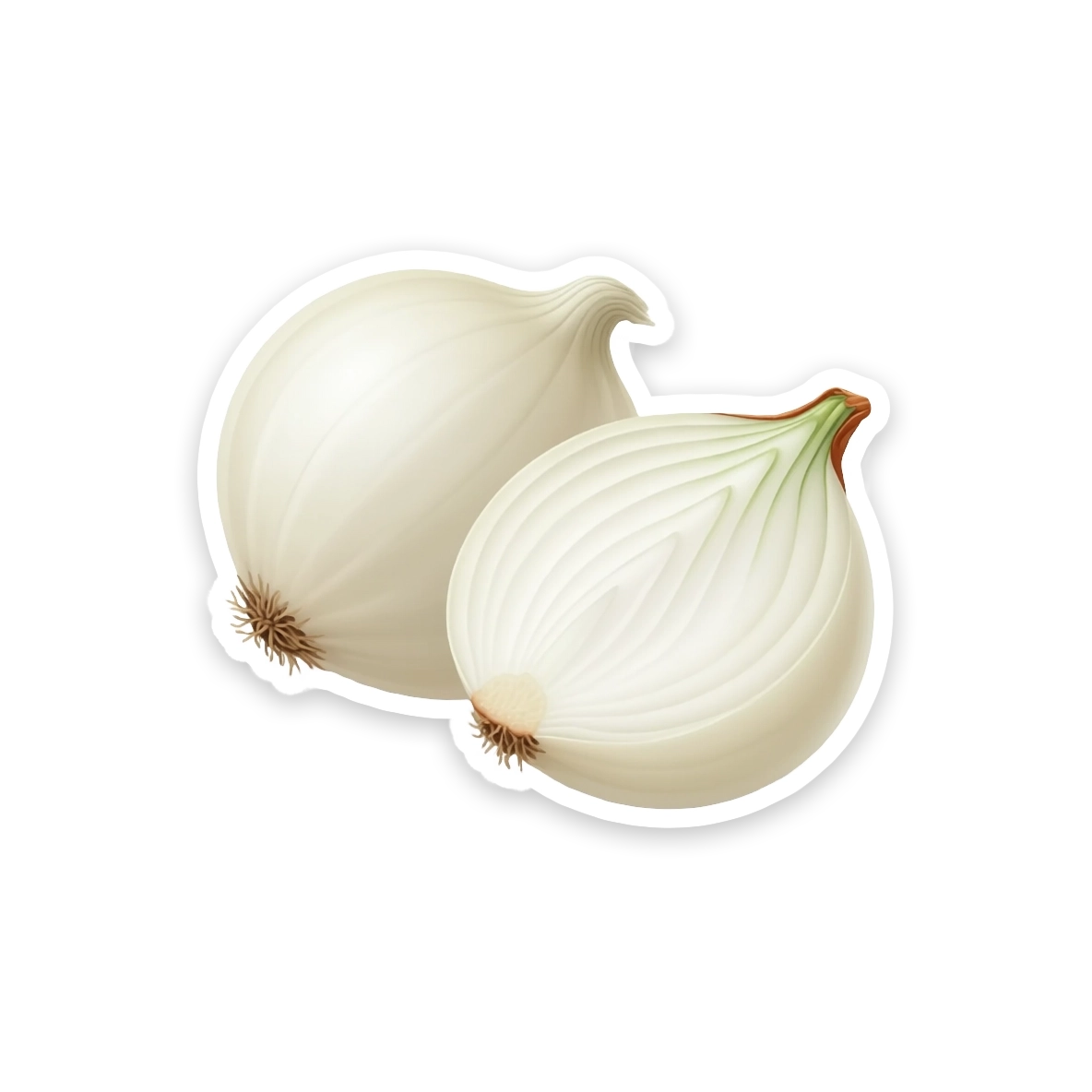 Onion